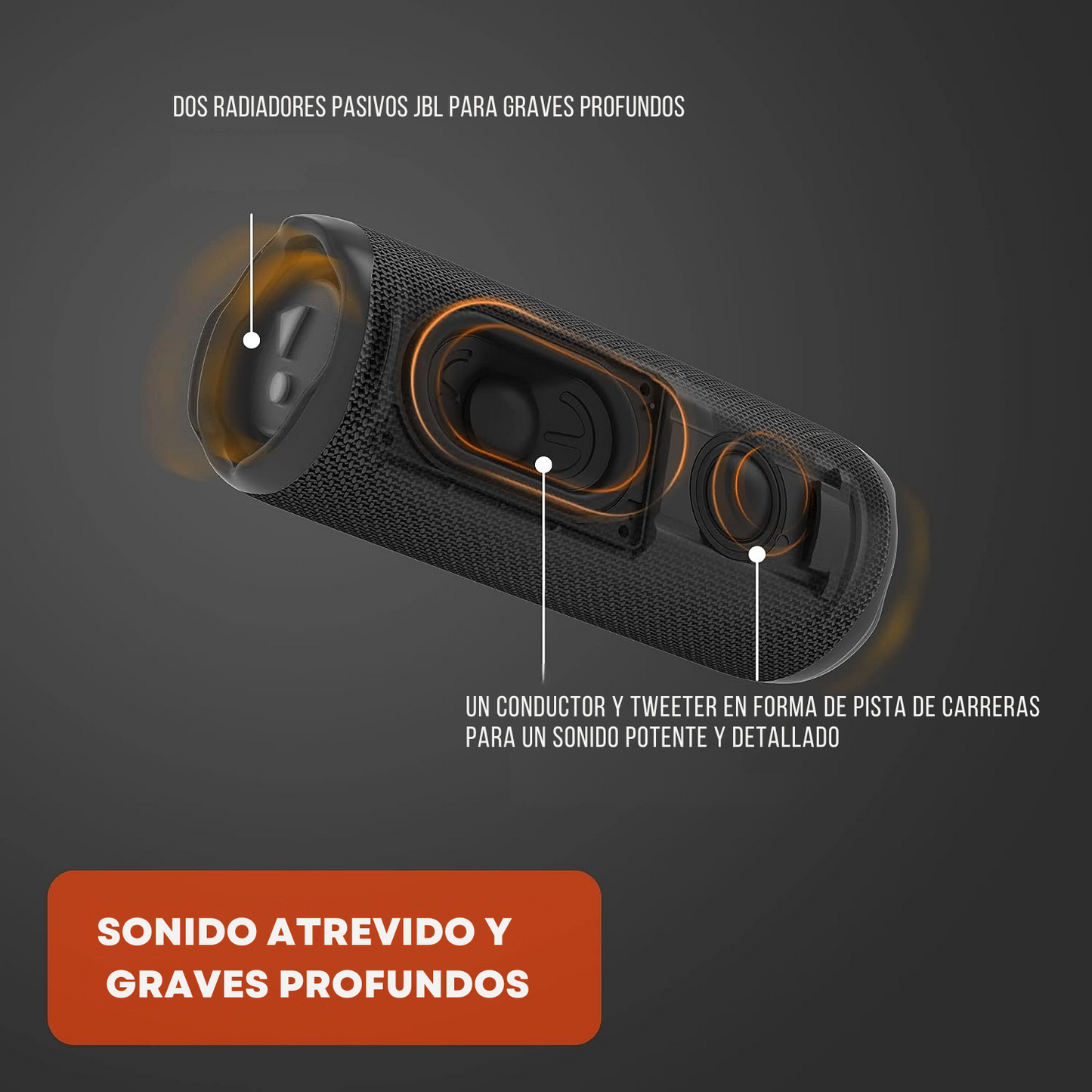 JBL flip 6 - Resistencia al AGUA + Envío gratis