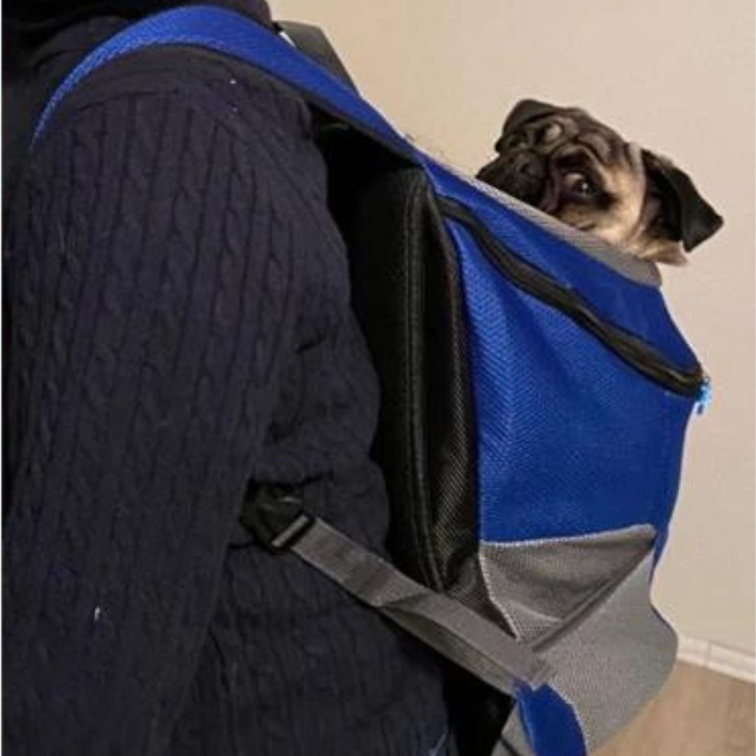 CaniComfy™ Bolso de seguridad para mascotas transpirable