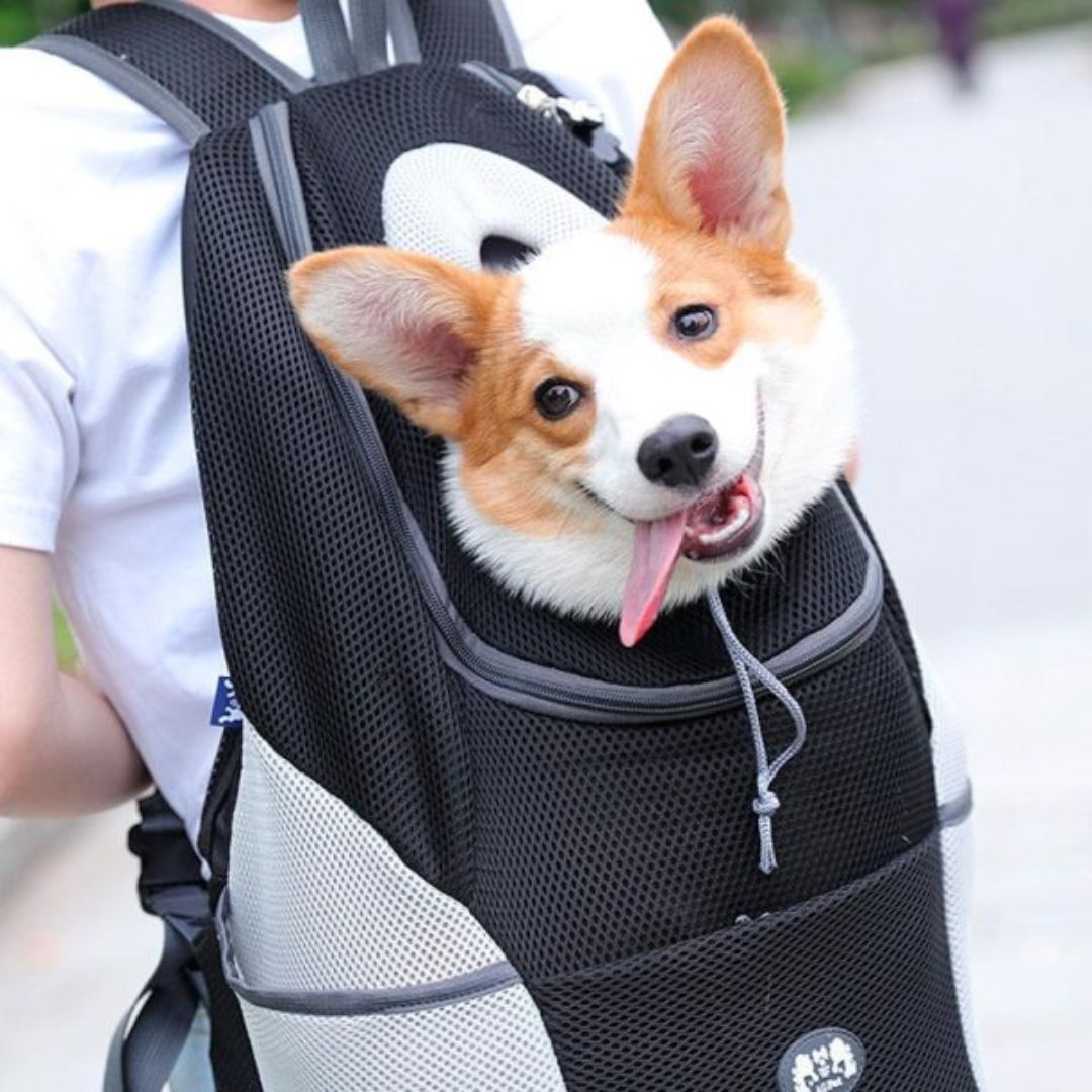 CaniComfy™ Bolso de seguridad para mascotas transpirable