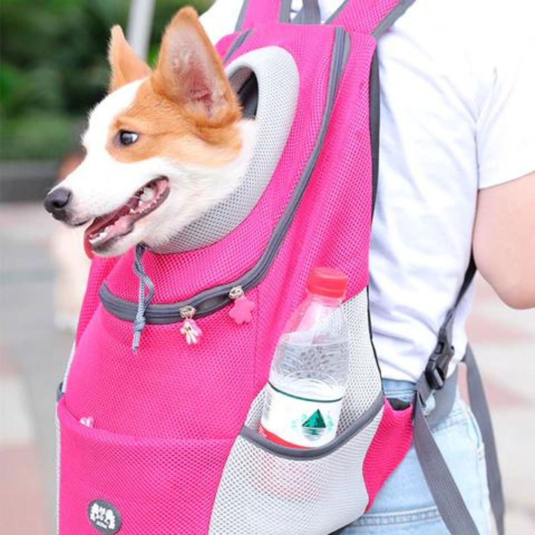 CaniComfy™ Bolso de seguridad para mascotas transpirable