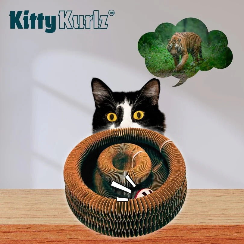 Kitty Kurlz™ - El Juguete 3 En 1 Que Activa Cuerpo, Mente Y Garritas