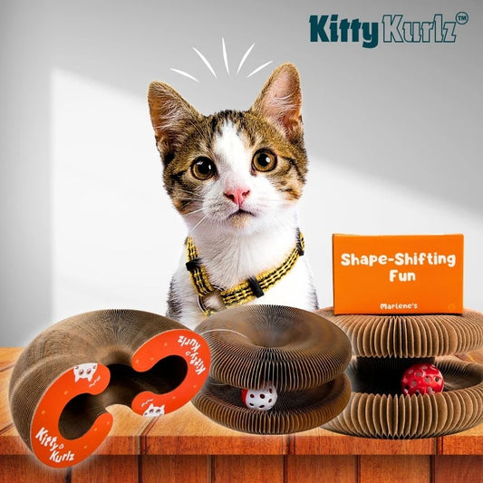 Kitty Kurlz™ - El Juguete 3 En 1 Que Activa Cuerpo, Mente Y Garritas